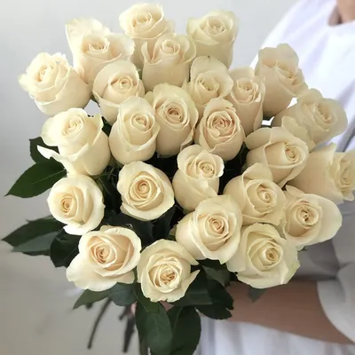 Купить розы от V-flowers. Заказать букет белых роз. Доставка роз.
