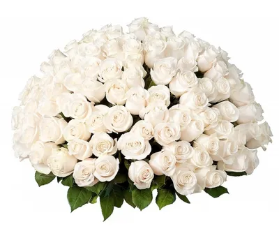 1️⃣ Букет из 25 белых роз – заказать с доставкой в Алматы