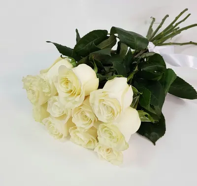 Almaflowers.kz | Голландские белые розы \"Mondial\" (80 см) - купить в Алматы  по лучшей цене с доставкой