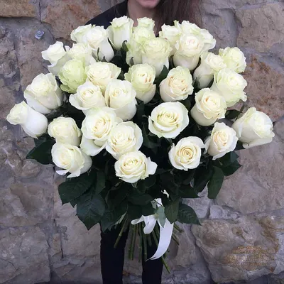 Фотообои Белые розы на стену. Купить фотообои Белые розы в  интернет-магазине WallArt