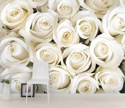 Красивые белые розы на белой предпосылке. Стоковое Фото - изображение  насчитывающей флористическо, красивейшее: 32231204
