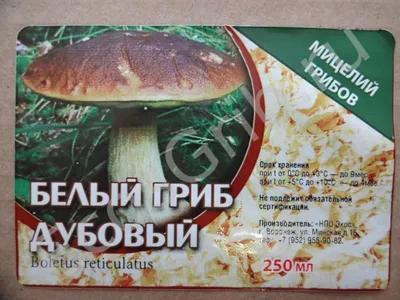 Мицелий грибов Белый гриб Сосновый по цене 125 ₽/шт. купить в Сургуте в  интернет-магазине Леруа Мерлен