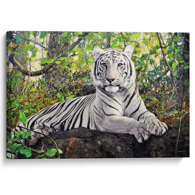 Фотообои Красивый белый тигр на стену. Купить фотообои Красивый белый тигр  в интернет-магазине WallArt