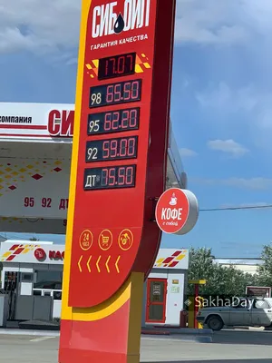 Путин поручил оперативнее реагировать на рост цен на бензин и солярку — РБК