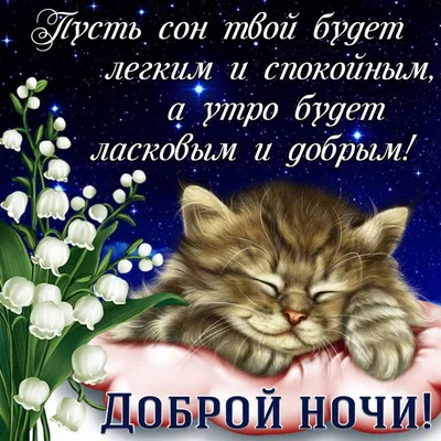 Картинка со спящим котиком и пожеланием доброй ночи | Скачать бесплатно |  Ночь, Веселые мысли, Смешные открытки