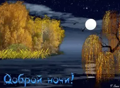 Картинка спокойной ночи со спящим котиком - поздравляйте бесплатно на  otkritochka.net