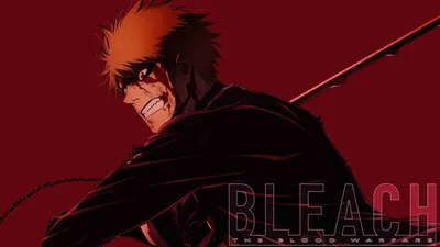 10 Best Anime That Followed Bleach's Legacy