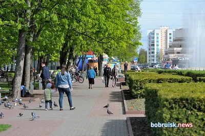 Сколько жителей не досчитался Бобруйск в 2020 году?