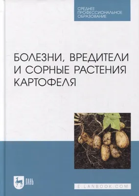 Употребление картофеля приводит к смертельно опасной болезни - PrimaMedia.ru