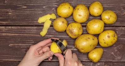 ВИРУСЫ, ВИРОИДЫ, ФИТОПЛАЗМЫ - болезни картофеля | Картофельные технологии