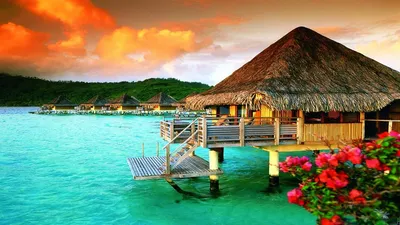 Обои на рабочий стол Territoire de la Polynesie Francaise, Bora-Bora /  Французская Полинезия, остров Бора-Бора, бунгало в атолле, зеленый берег,  облака, подсвеченные солнцем, размытые цветы на переднем плане, обои для  рабочего стола,