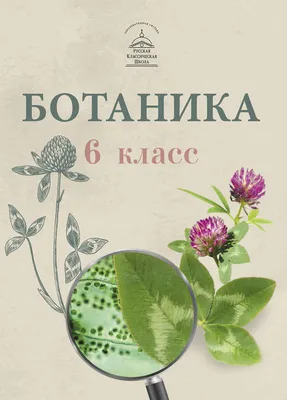 Ботаника для 6 класса - Русская Классическая Школа