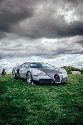Golden Bugatti Veyron Official Photos - autoevolution
