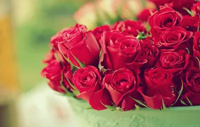 розы букет цветы HD обои для ноутбука | Red rose bouquet, Flower delivery,  Red roses