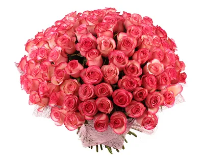 Обои Цветы Розы, обои для рабочего стола, фотографии цветы, розы, красота,  букет, bouquet, flowers, rose Обои для рабочего стола, скачать обои  картинки заставки на рабочий стол.