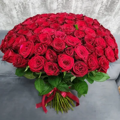 Обои на рабочий стол Огромный букет красных роз, фотограф Михаил Кузнецов,  обои для рабочего стола, скачать обои, обои бесплатно