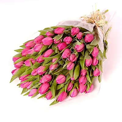 Купить букет цветов на 8 марта из 67 тюльпанов в Кургане