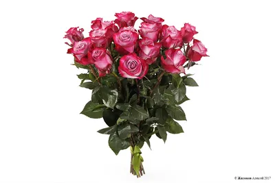 Букет цветов Флористика Цветочный дизайн Телефлора, цветок, фиолетовый,  организация цветов, свадьба png | PNGWing