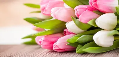Букет из 15 красных роз на 8 марта купить в Краснодаре с доставкой