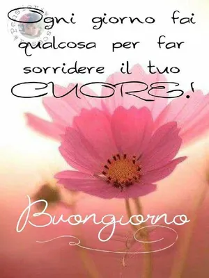 How To Say Good Morning in Italian - Buongiorno Stock Vector - Illustration  of greeting, horizontal: 187195713