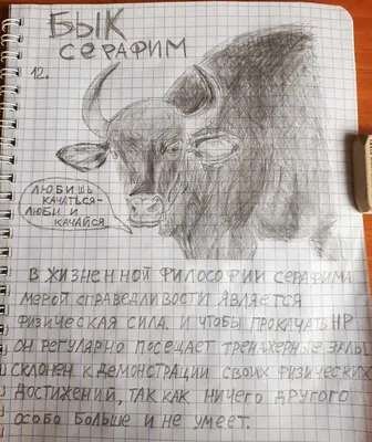 Рисунки быков простым карандашом (43 фото) » Рисунки для срисовки и не  только