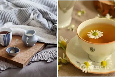 Купить Травяной имбирный чай VKUS, в пирамидках на чашку, 50 шт. х 2 гр.:  чай VKUS Regular Line на сайте coffee-tea.ru