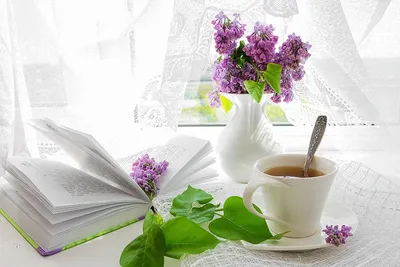 Как влияет черный и зеленый чай на здоровье? | WMJ.ru
