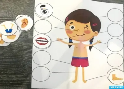 Развивающая игра «Лото «Части тела» для детей на хакасском языке (2 фото).  Воспитателям детских садов, школьным учителям и педагогам - Маам.ру
