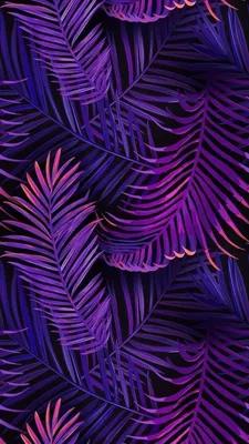 Blue, Purple, Light, Violet, Electric blue, Plant. Обои, Лесные обои,  Фиолетовые фоны, Blue Purple Neon HD phone wallpaper | Pxfuel