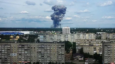 Настоящий \"Чернобыль\". Зона отчуждения через 33 года после аварии - глазами  ученых - BBC News Русская служба