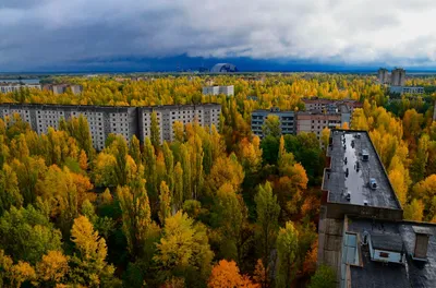 До и после: 35 лет аварии на Чернобыльской АЭС - Газета.Ru