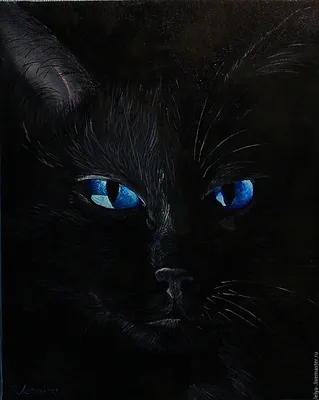 Черная кошка с голубыми глазами порода - 72 фото