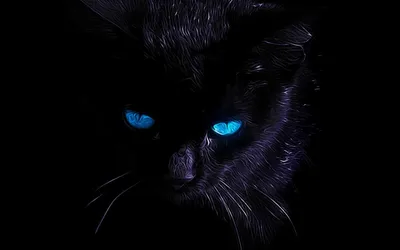 Черный кот с голубыми глазами и золотым сиянием на мордочке. | Премиум Фото