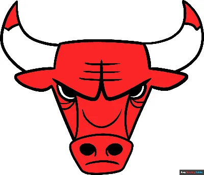 Chicago Bulls Central - YouTube