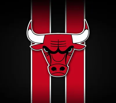 Chicago Bulls, HD wallpaper | Peakpx