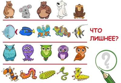 Развивающая игра «Что лишнее?», 30 карточек - СМЛ0003649318 - оптом купить  в Москве по недорогой цене в интернет-магазине Стартекс
