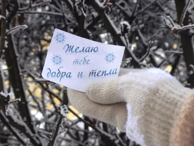 Стартовала благотворительная акция «Дарю тепло» :: Krd.ru