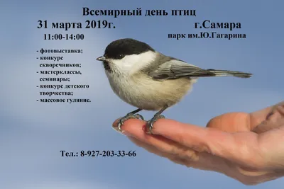 1 апреля- Международный день птиц. International Bird Day. Кыргызстан »  ЭкоМиР - Экологический Мониторинг и Расследования