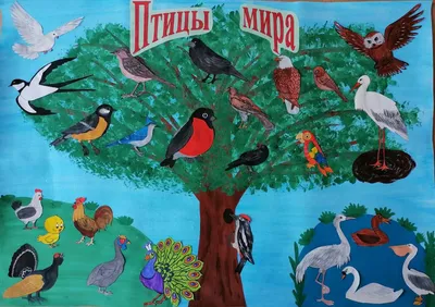 1 апреля - Международный день птиц - Николаевская районная библиотека