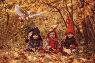 Поделки детские на тему осень - фото и картинки: 65 штук