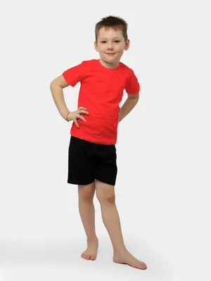 Детская футболка девочке и мальчику унисекс зеленая , зелёные футболки  детские для физкультуры (ID#1206551615), цена: 153.73 ₴, купить на Prom.ua