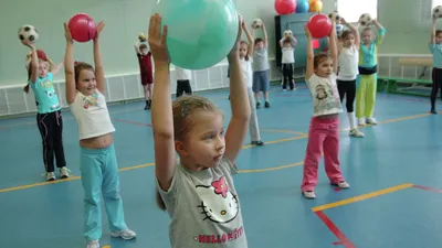 Детский спортивный комплекс для дачи Romana Fitness ФК купить недорого на  Vishop.by!