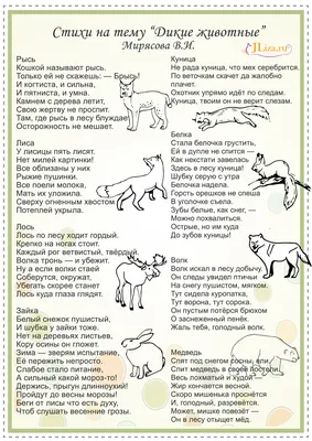 Стихи про животных (ФОТО) - Веселые и увлекательные стихи для детей -  detskieru.ru