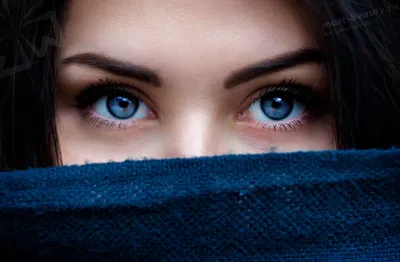 молодая девушка с голубыми глазами, фото девушки но, девочка, брюнетка фон  картинки и Фото для бесплатной загрузки
