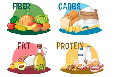 Безуглеводная диета: что это, принципы, разрешенные продукты и меню -  Vansiton