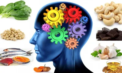 Три эффективные диеты для работы мозга – Здоровье на Кубани