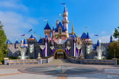 What Makes Disneyland So Special? - Marvelous Mouse Travels