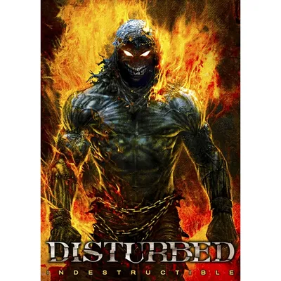 Плакат Disturbed (indestructible) - купить плакат Disturbed в Киеве, цены в  Украине - интернет-магазин Rockway