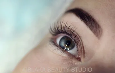 Instagram для бровиста | Instagram brows, Beauty lash, Perfect brows