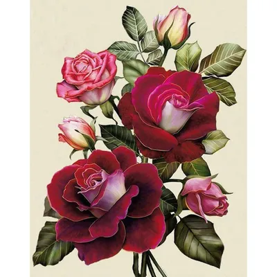 Рисовая бумага для декупажа А4 ультратонкая салфетка 1499 розы цветы винтаж  крафт DIY | AliExpress